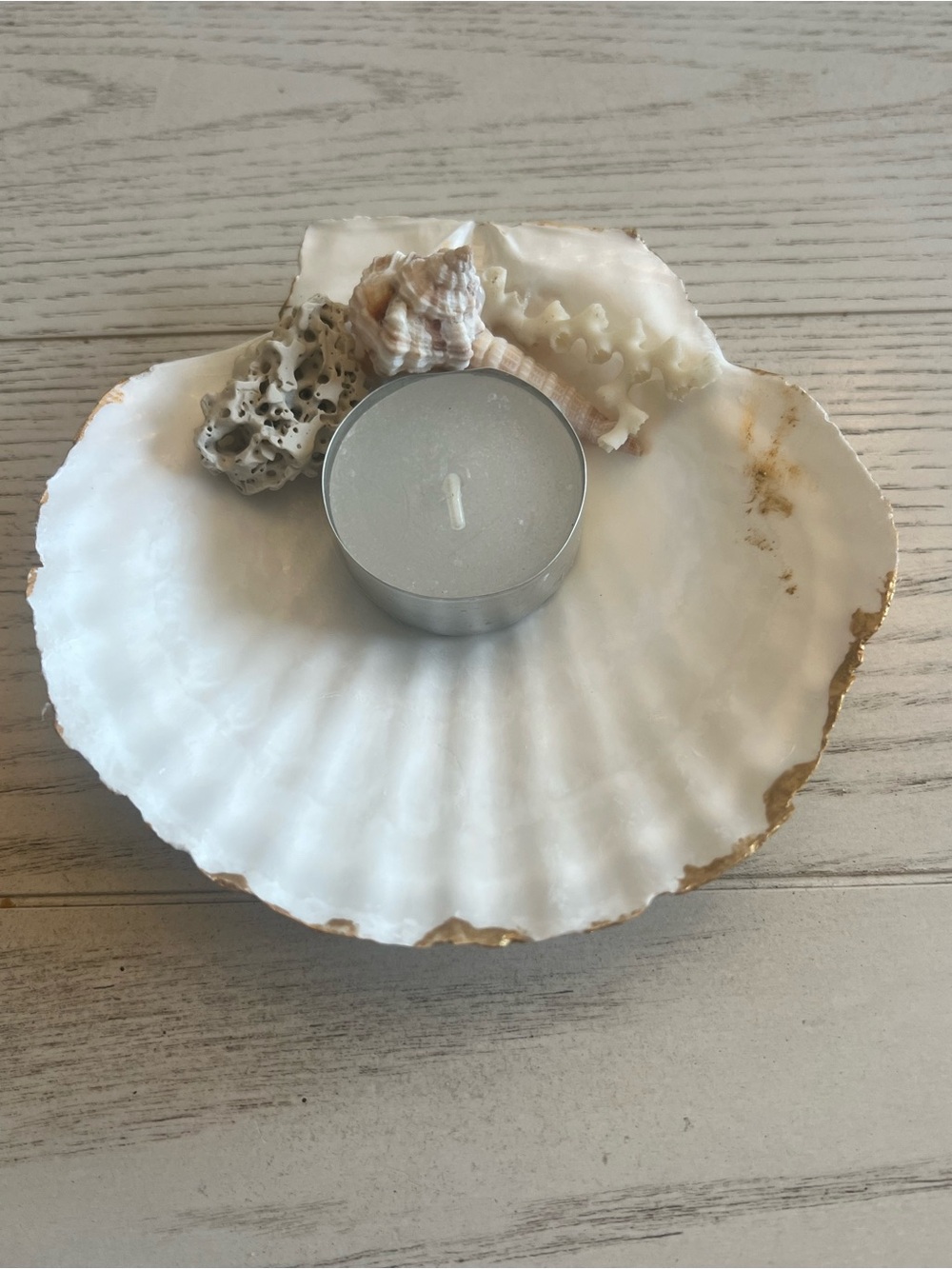 Decorative Gold Handpainted Shell Tea Light Holder with Coral and Shells